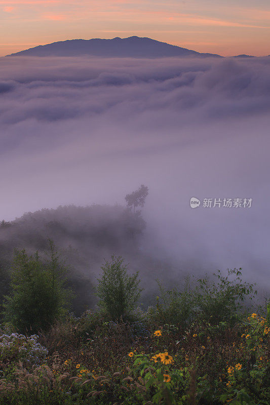 美丽的早晨日出的风景山在Pai, Mae Hong Son，泰国。